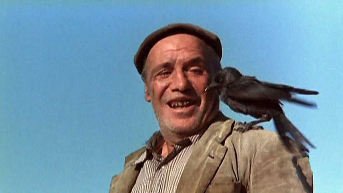 Películas, películas tweet media