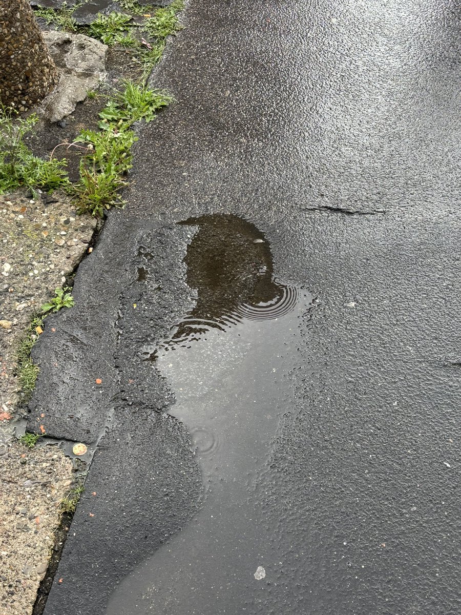 was will er auf meiner Straße