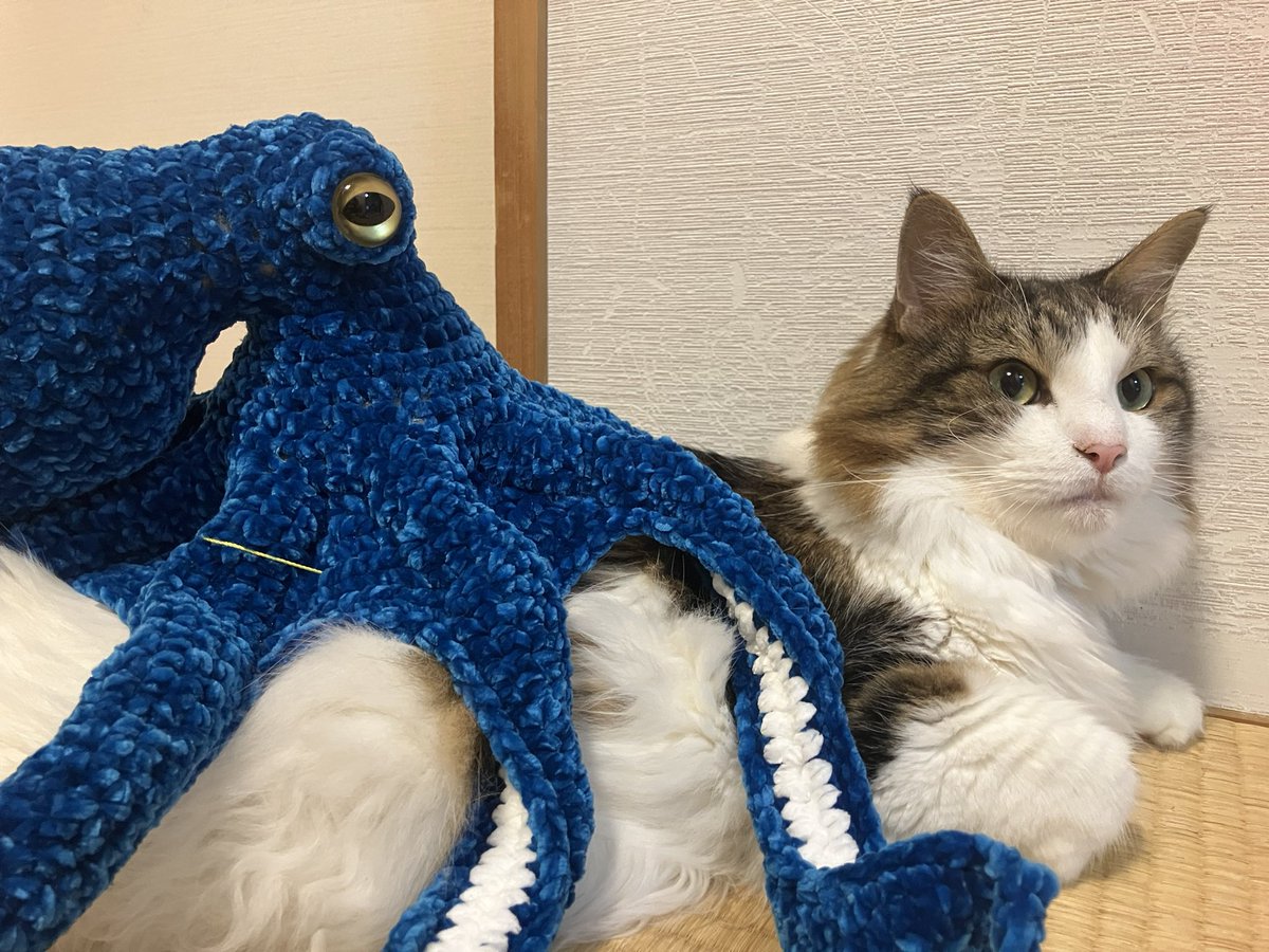 たこを編む人（ぱら） on X: 