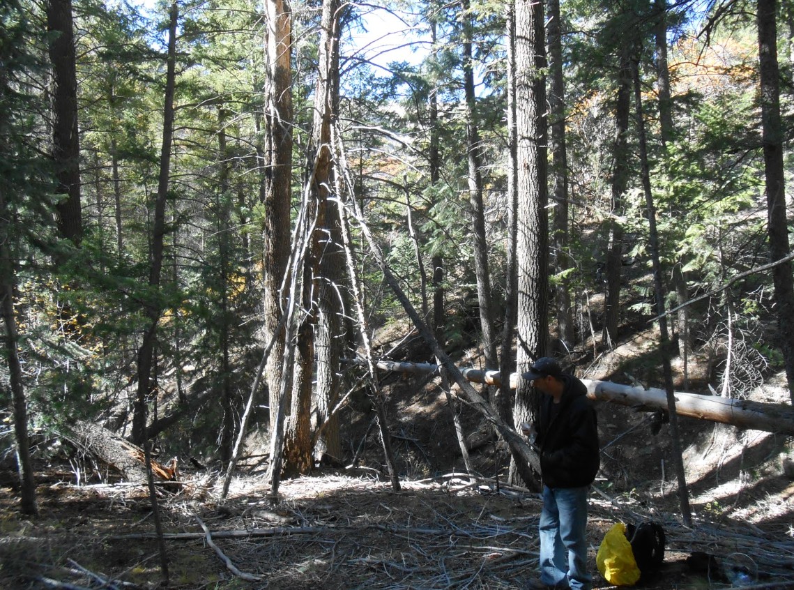 Bigfoot Giants of Sasquatch Canyon Expedition
rmsobigfoot.blogspot.com/2020/05/sasqua…
Sasquatch Canyon Giants