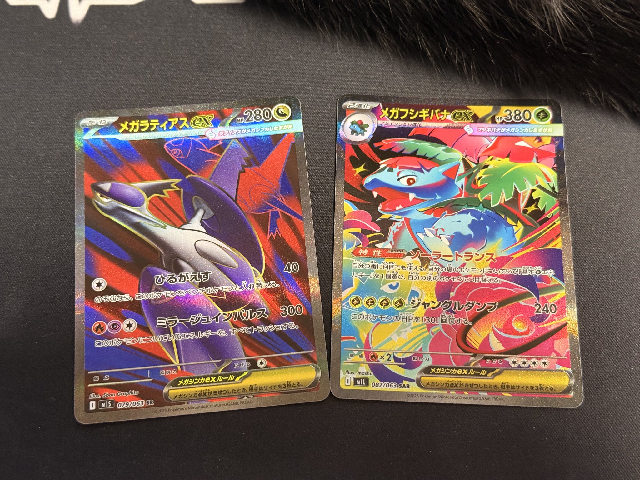 メガフシギバナex ミツルの思いやり SAR メガラティアス　メガクチート　SR メガフシギバナex ミツルの思いやり SAR メガラティアス