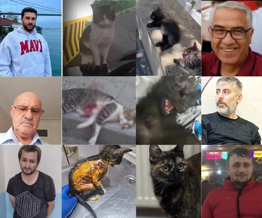 Bu şerefsizler ceza almadıkça bu vakalar sürüp gidecek...
#erosiçinadalet
#cezveiçinadalet
#BurakAlanTutuklansın