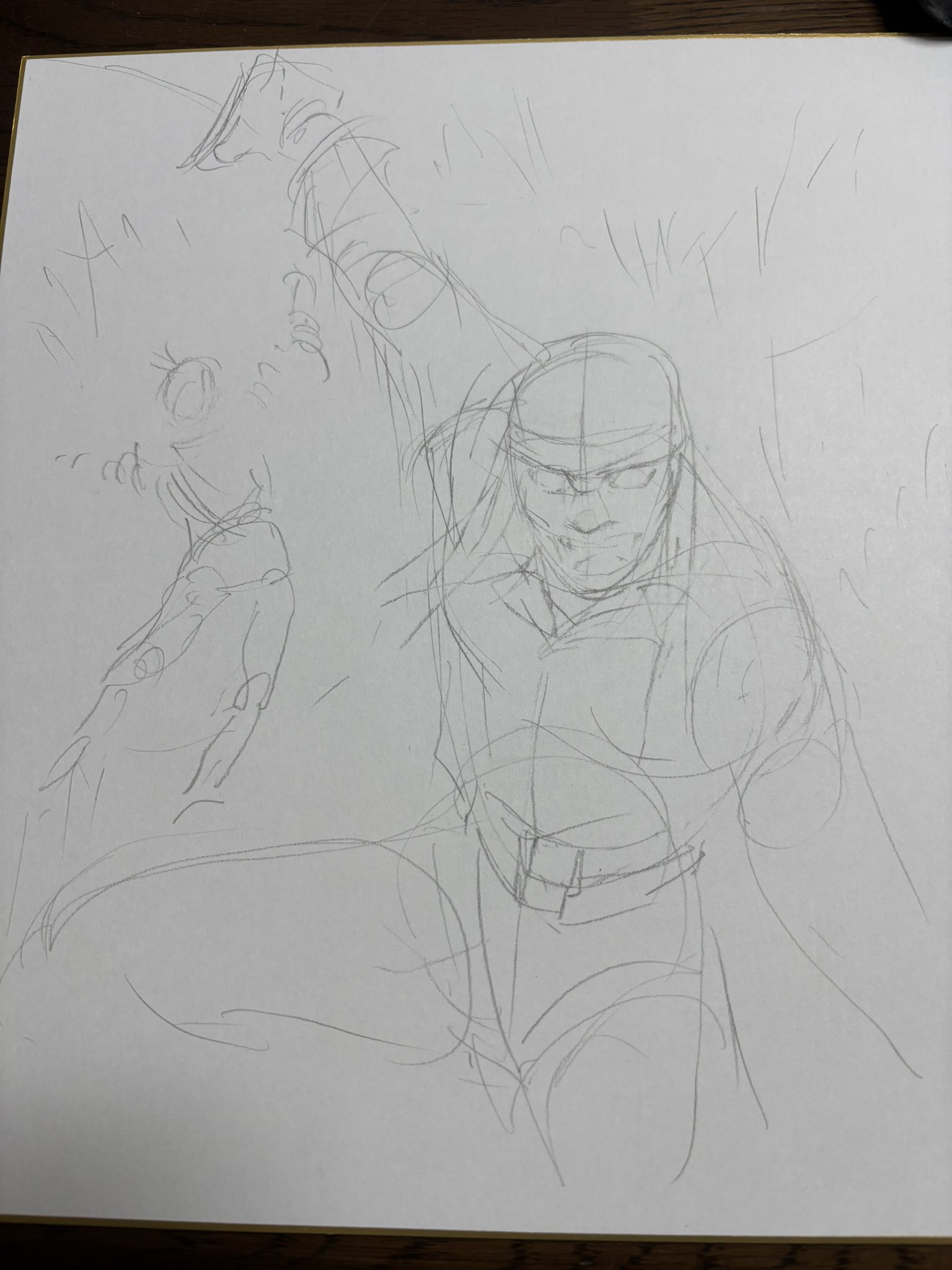 色紙額装 作者不明 ペン画 俳句 アルミ額 はないかだ かざして一句 風ぬるむ 色紙額装 作者不明 ペン画 俳句 アルミ額 はないかだ かざして