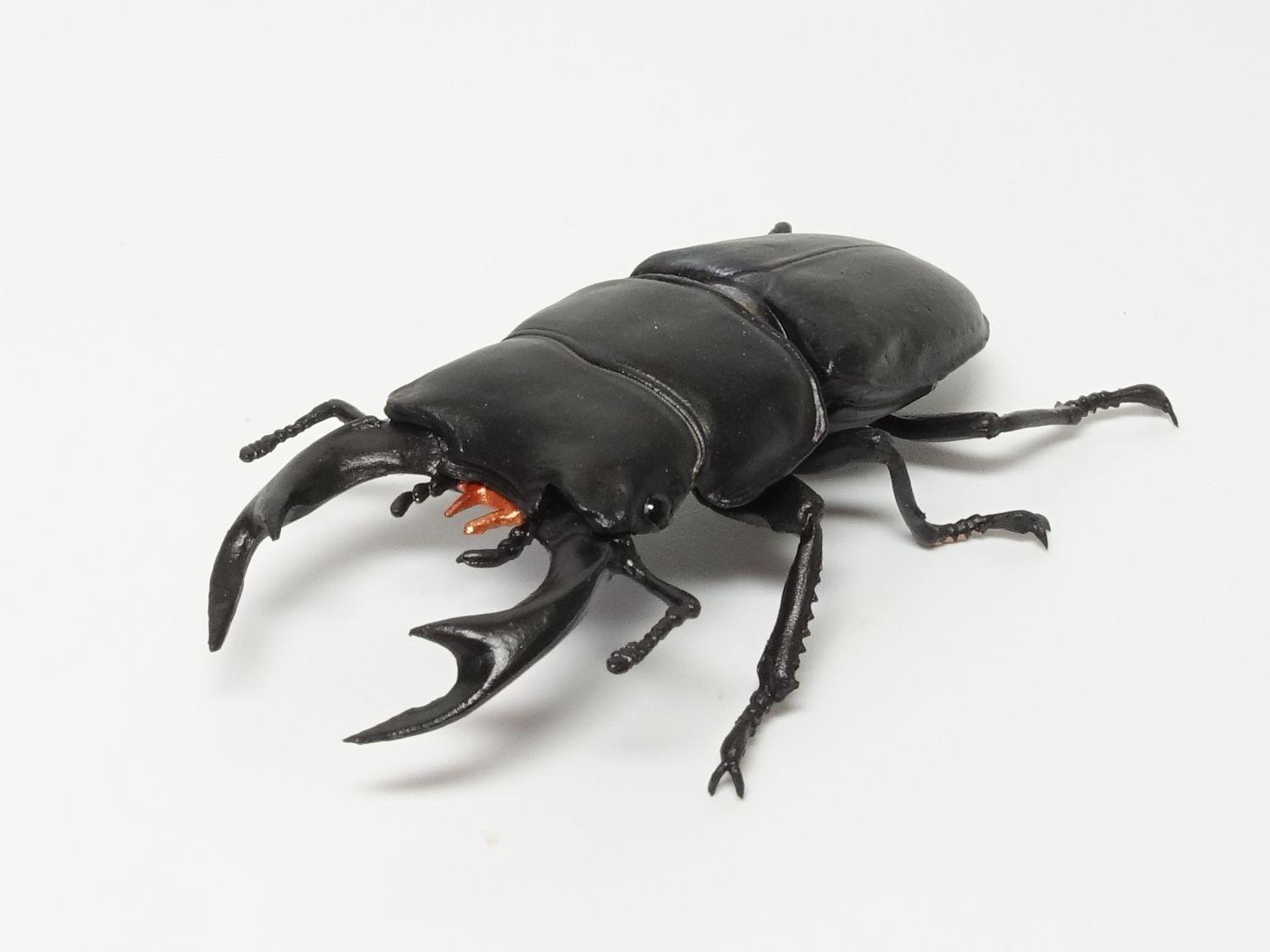 オオモンハタ　フィギュア　魚寸27cm 【第10回日本彫刻コンクール入選作品】 オオモンハタ フィギュア 魚寸27cm 【第10回日本彫刻コンクール