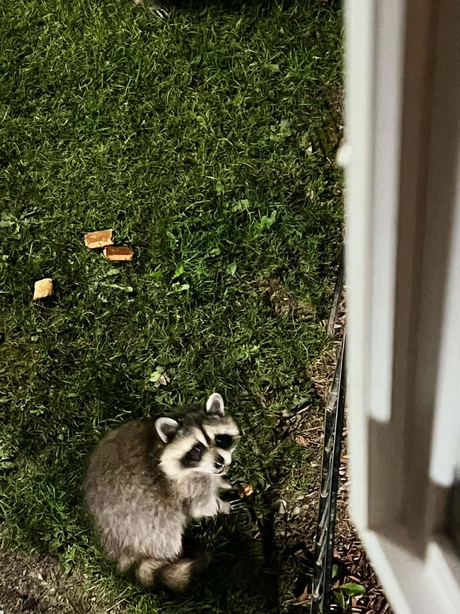 dyingtogetin2 tweet media