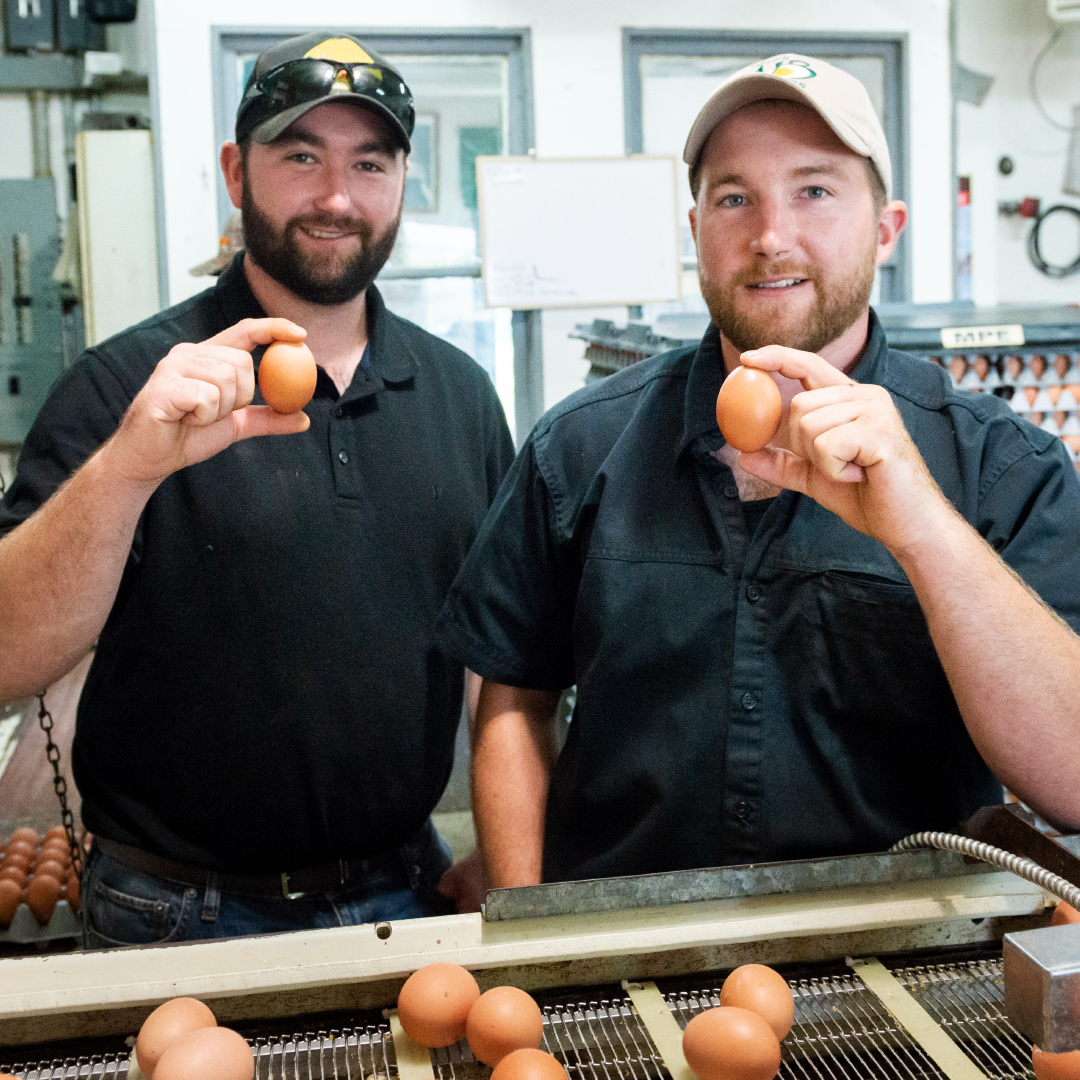 Egg Farmers tweet media