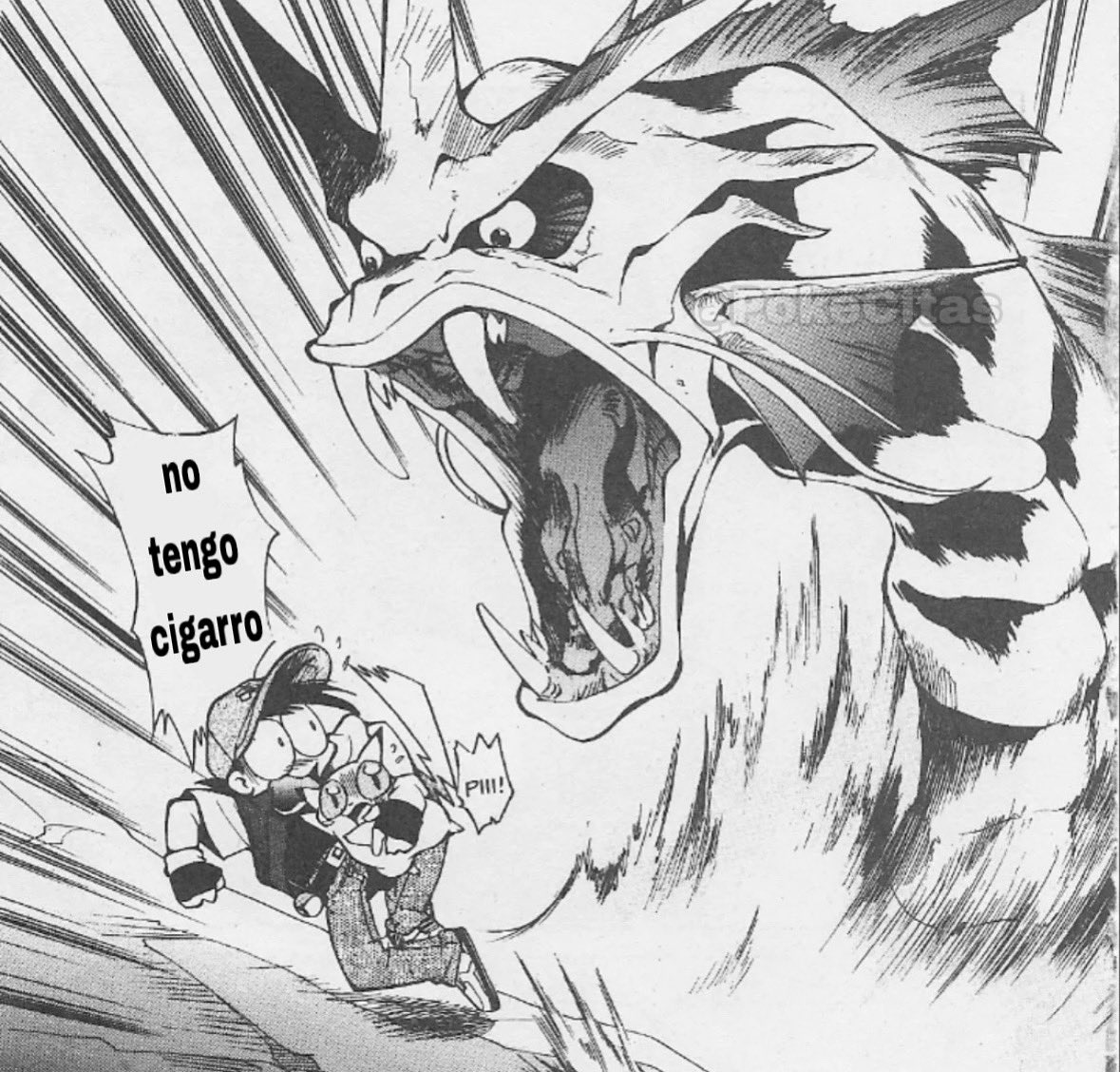 PokeCitas's tweet photo. https://t.co/5kWQIoxalr