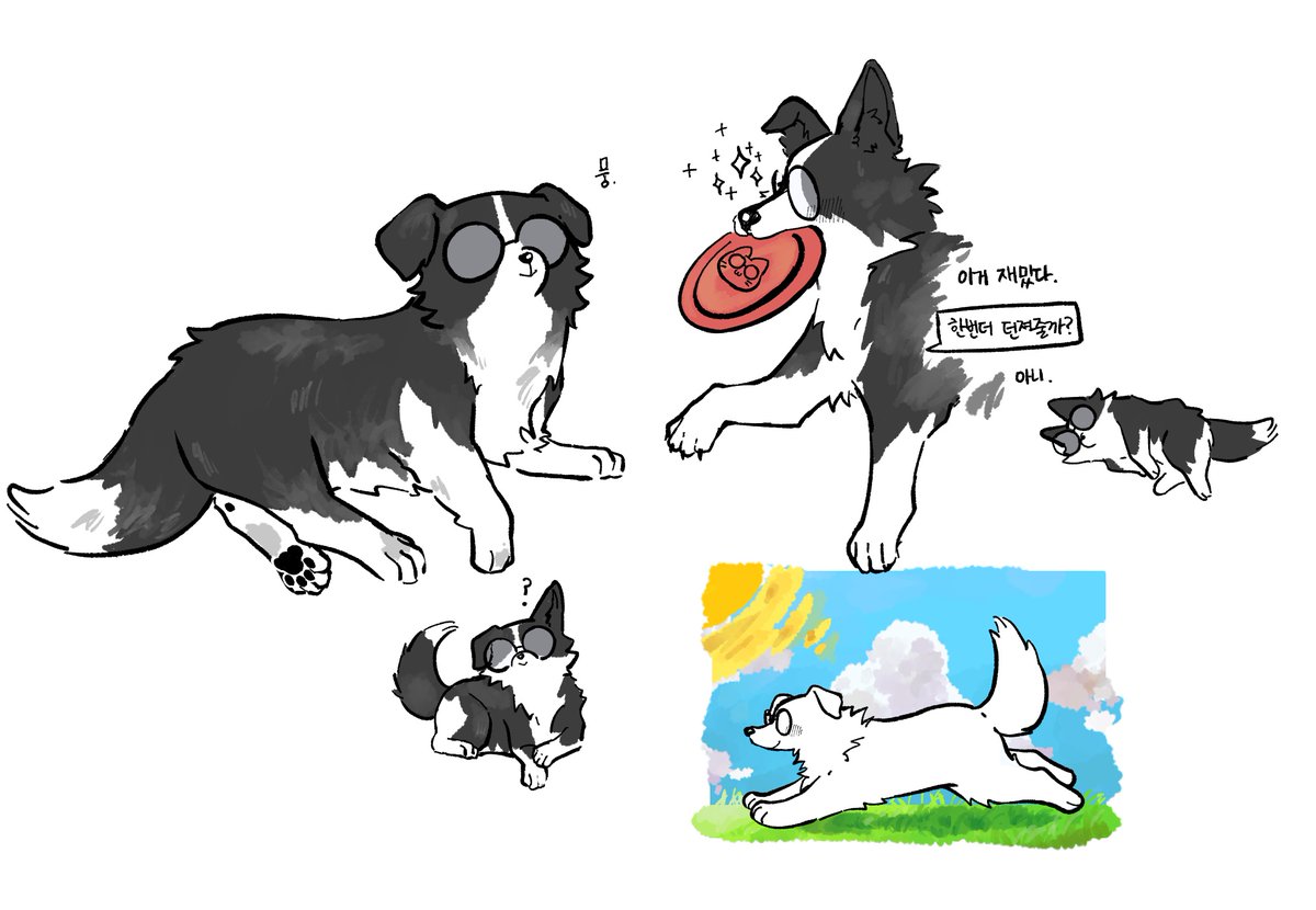 mell7245's tweet image. 스핀 리퀘
보더콜리 원뭉이