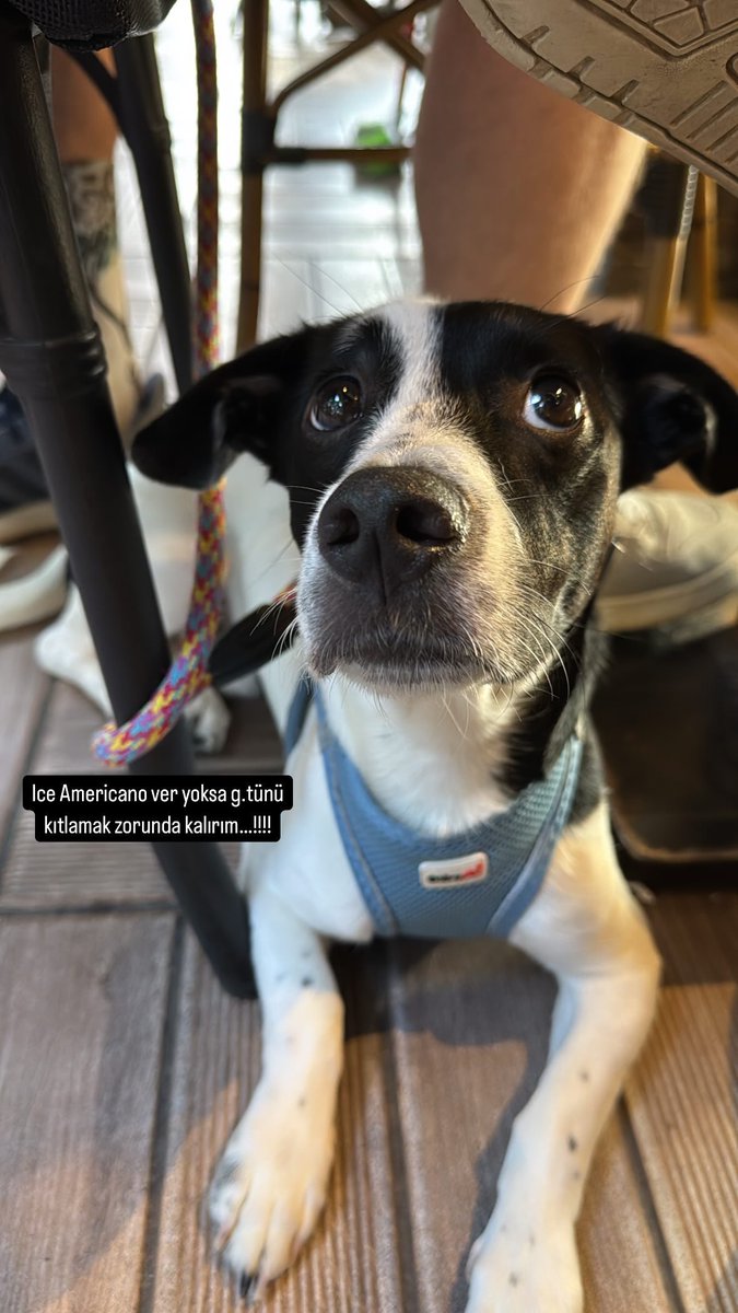 Kahve içmeden güne başlayamayanlardan…