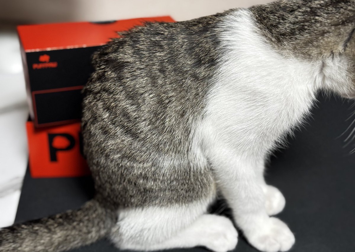 ์ฅ์ฅ๐งฉ (@beingrich2000) on Twitter photo ์ผ๋จ <a href="/puffpaw_xyz/">Puffpaw | Gen2 Sold Out</a> Gen 2 ๋ฐ์์โฆ
์ฌ์ง์ดฌ์ํ๋ ค๋๋ฐ ์น๊ตฌ์ง ๊ณ ์์ด๋์ด ๋ฐฉํดํด์
1์ฐจ์๋ ์คํจโฆ ์ผ๋จ <a href="/puffpaw_xyz/">Puffpaw | Gen2 Sold Out</a> Gen 2 ๋ฐ์์โฆ
์ฌ์ง์ดฌ์ํ๋ ค๋๋ฐ ์น๊ตฌ์ง ๊ณ ์์ด๋์ด ๋ฐฉํดํด์
1์ฐจ์๋ ์คํจโฆ