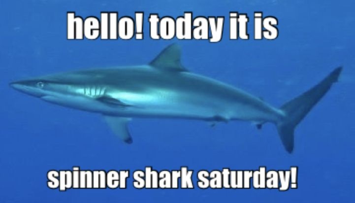 подушка чайная (@lotengotea) on Twitter photo 