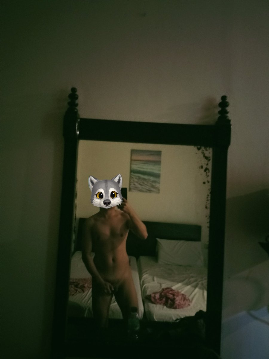 ⴷSHⴷZIZ 🐺 tweet media