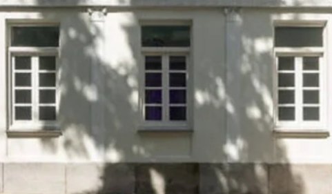 "Da vértigo pensar, observando
la sombra de los árboles
en las fachadas, en aquellos
que ya no pueden
percibir el encanto rumoroso de estas tardes. 
La única verdad de cuanto existe, 
la sombra de las ramas de los árboles
susurrando, mecidas por el viento, 
un mensaje secreto".