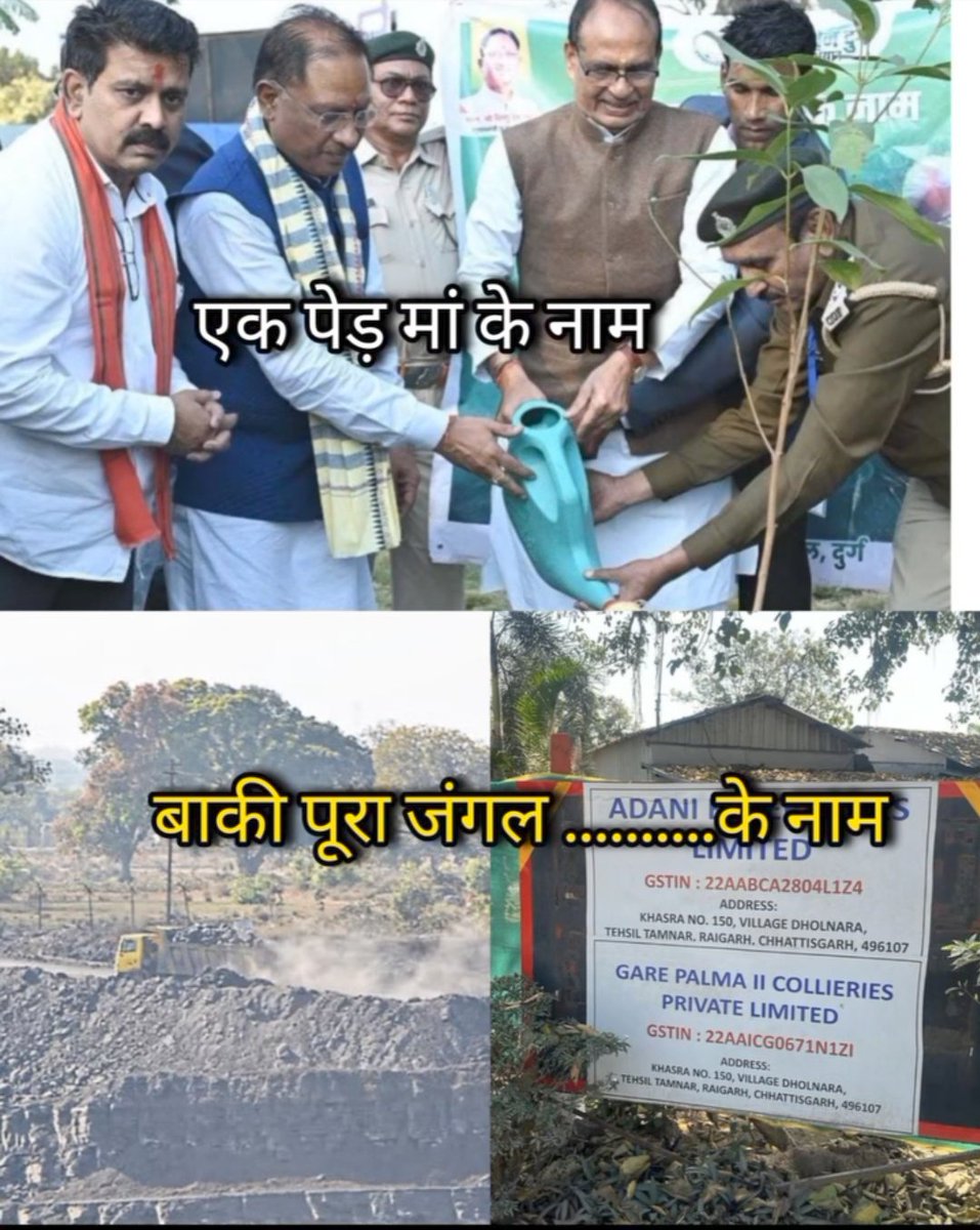 सिर्फ जंगल ही नहीं ।