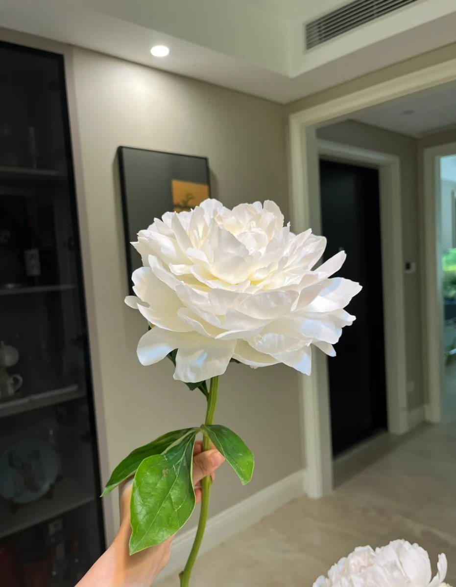 superchickmel's tweet image. A very beautiful flower🌼🌺