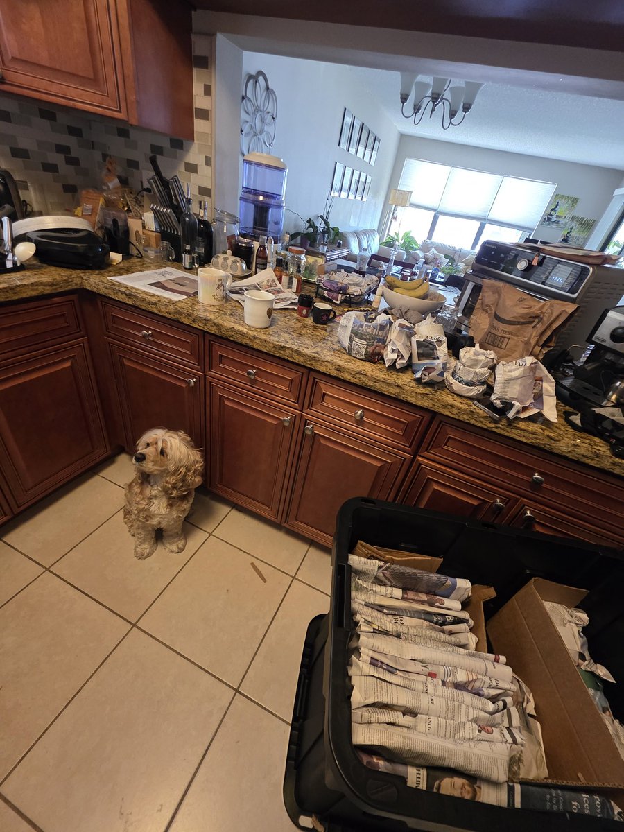 It is time to pack the dog! Lol 

Moving in process! 🚚