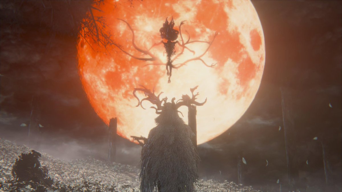 نوني tweet media