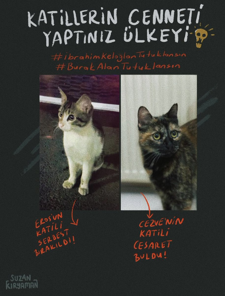 #Cezve
#CezveİçinAdalet
#CezveSahipsizDeğildir 
#Eros
#SokakHayvanlarıSahipsizDeğil 
#HayvanaŞiddetSUÇTUR