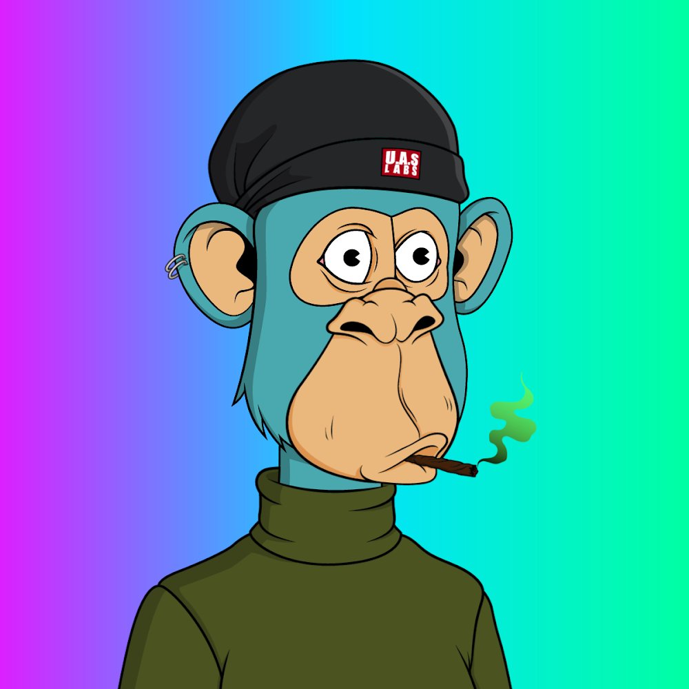 scrapmonsternft's tweet photo. @Noba_Sol @kokid951 @uglyapesquad @UglyapesDao @feedle_ @w #uglyapesquad https://t.co/3cdOmbQ5ls