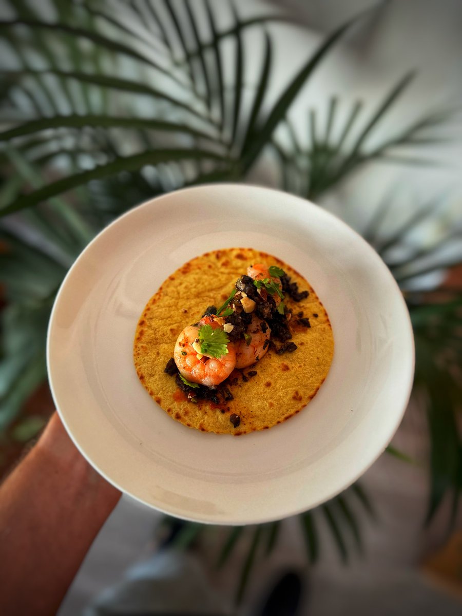 Brett Preston tweet media