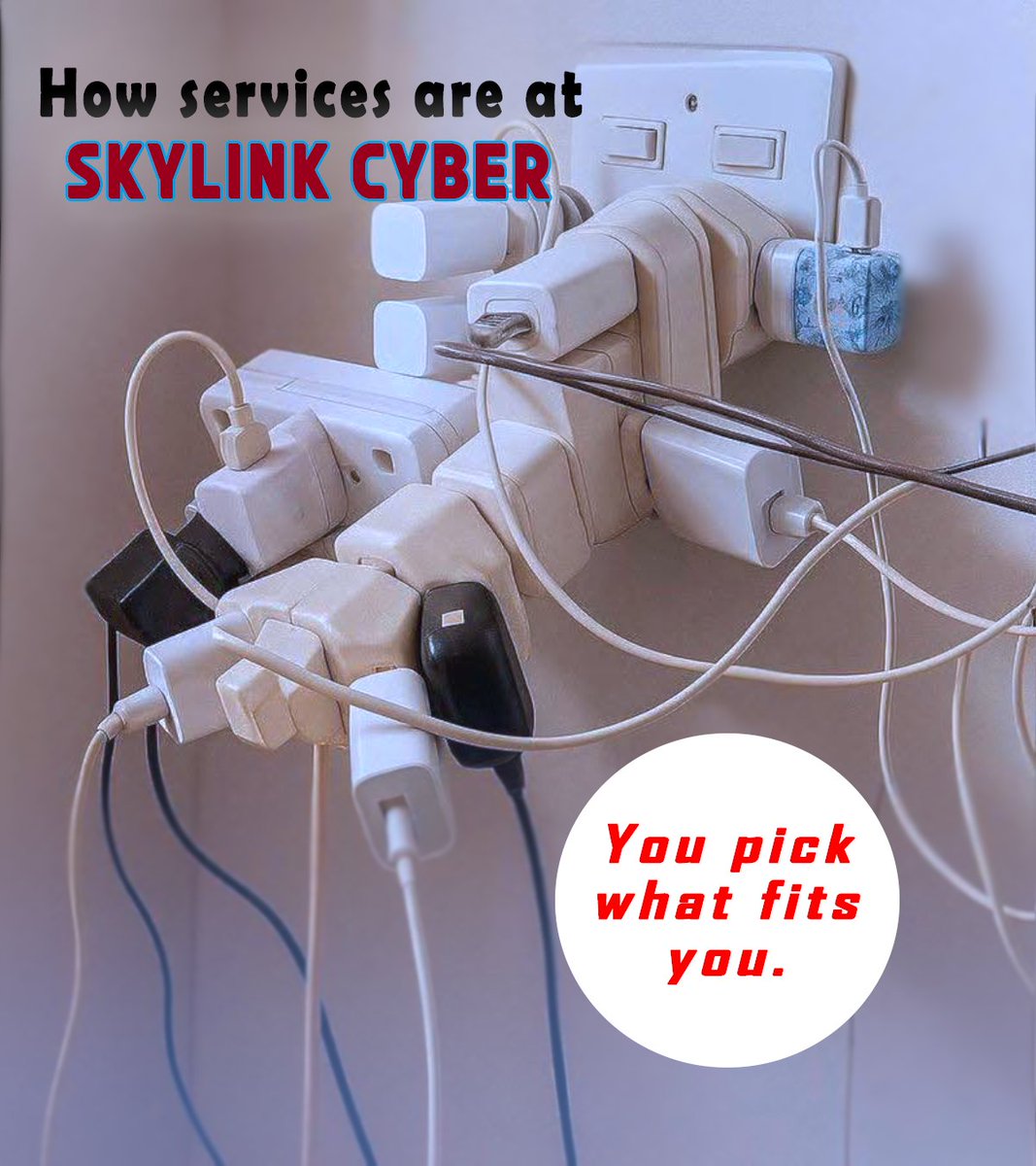 Whether you are an #artist, business Wo/man or influencers. At #SkylinkCyber we gat you covered with all the services needed for your business to Evolve in the edge landscape