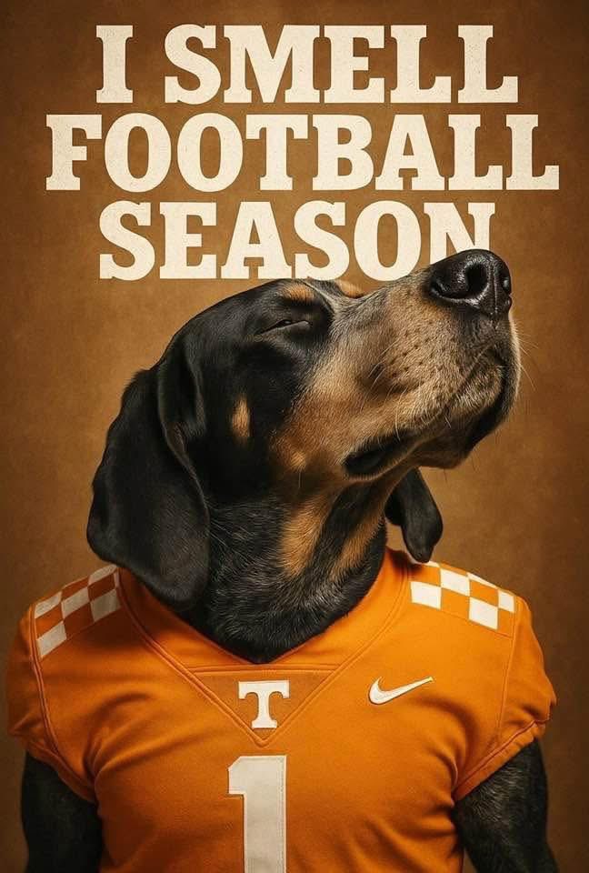 🧡🏈🤍  #VFL #GBO #VOLS