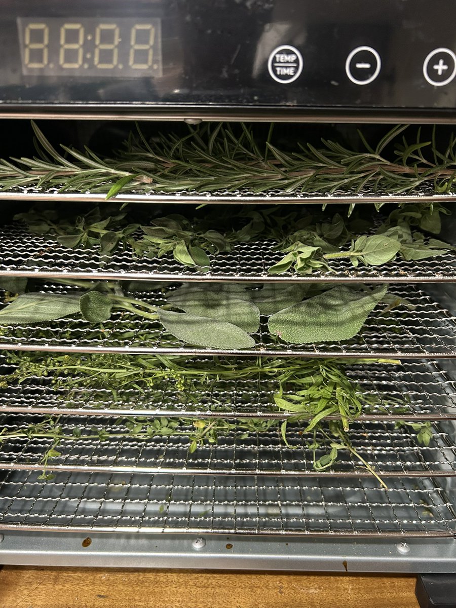 Everything Counts Challenge: Day 2

Herbs, I just can’t grow them. I’ve tried for several years and can get volunteers to come up from time to time. Otherwise I have one fennel plant that is actually doing what it should. With that said I was able to get some fresh herbs from a
