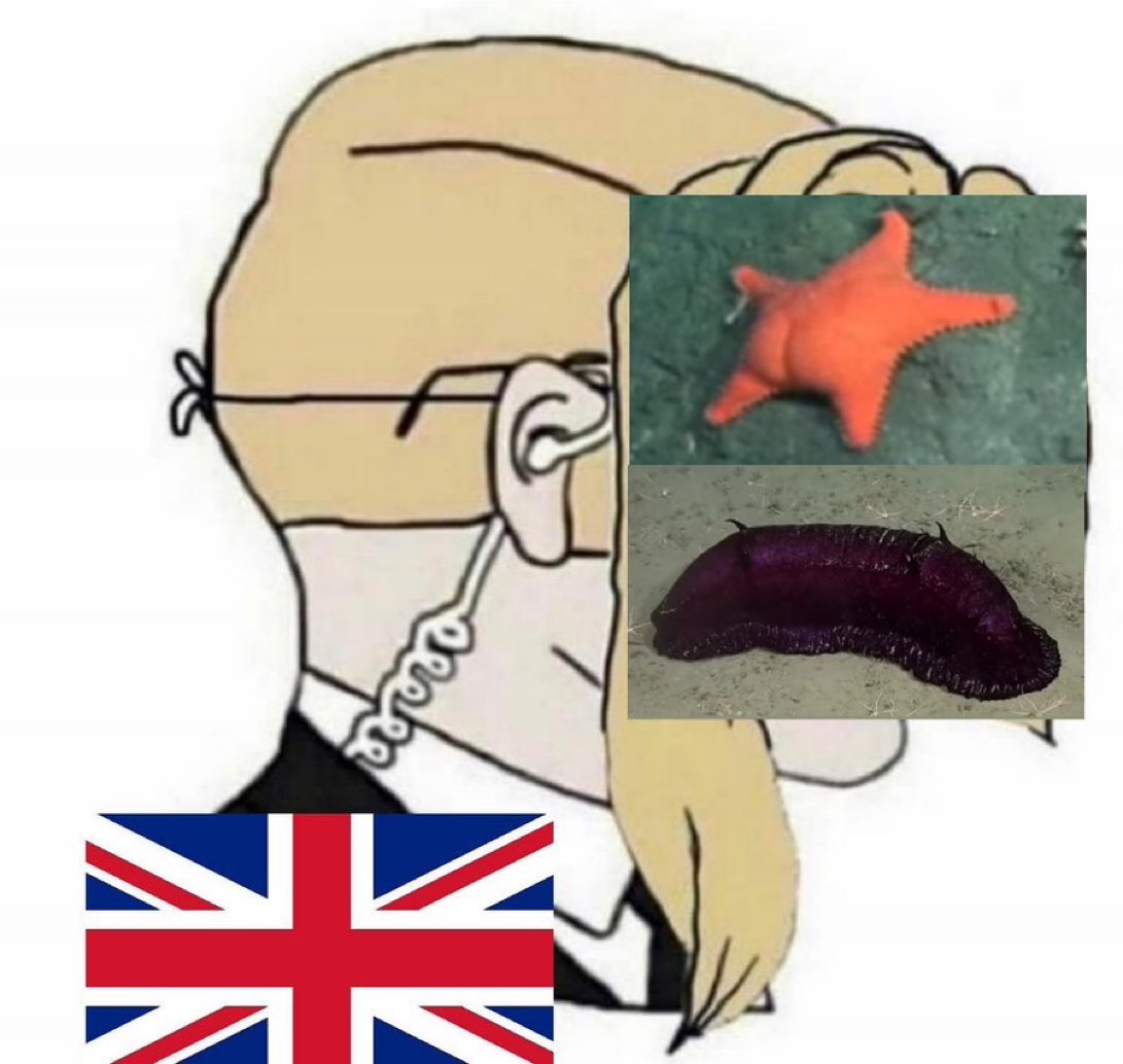 Declaren YA a Greenpeace como organización terrorista en Argentina