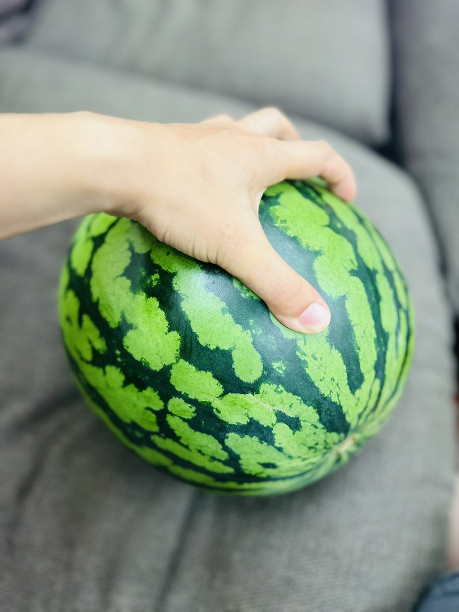 クソデカスイカ切る🍉