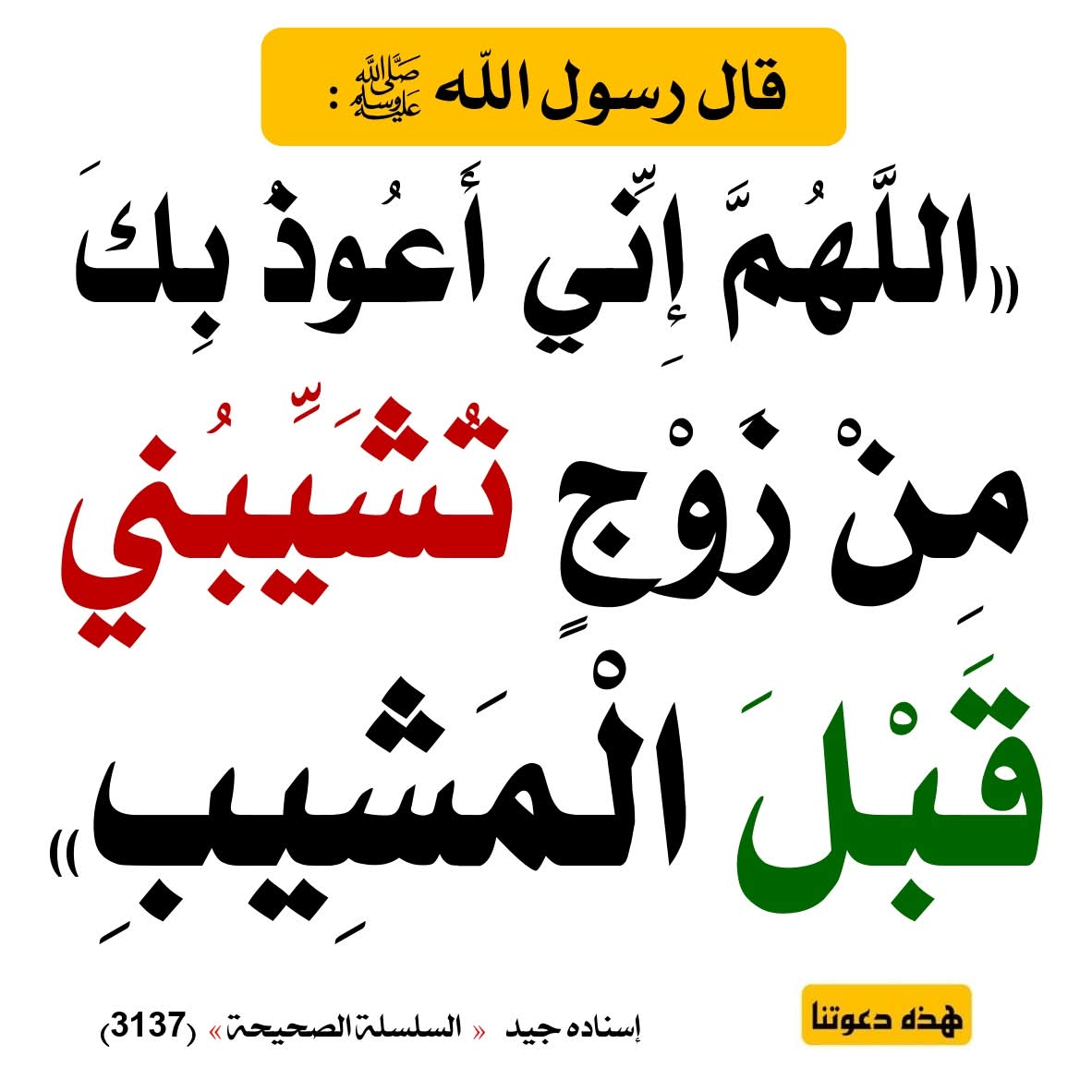 الكتابُ والسُّنة (@kitabwasunna93) on Twitter photo 