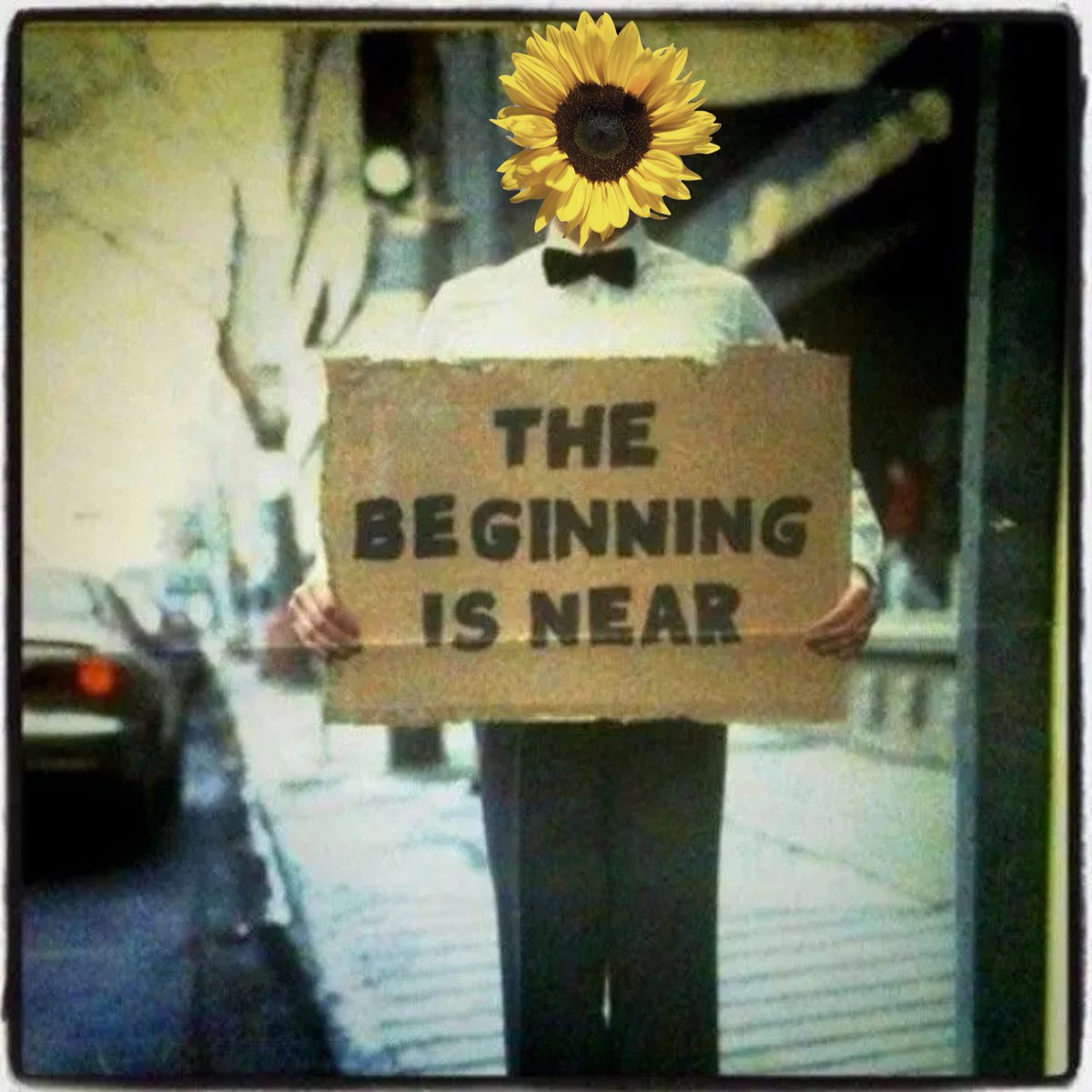 Elizabeth Gish tweet media