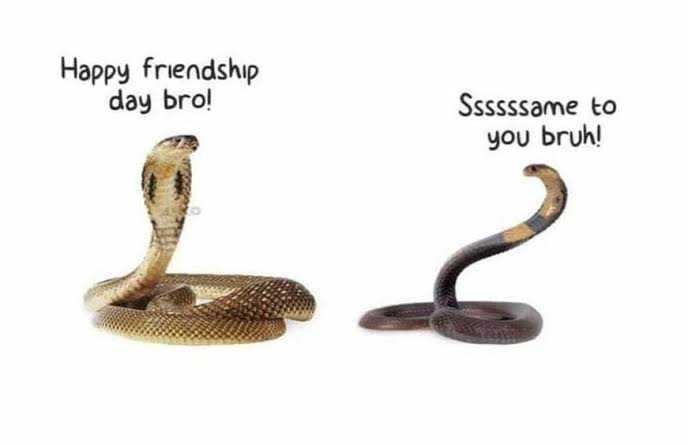 Happy Friendship Day 

#HappyAugust #HappyFriendshipDay2025 
#Brotherhood