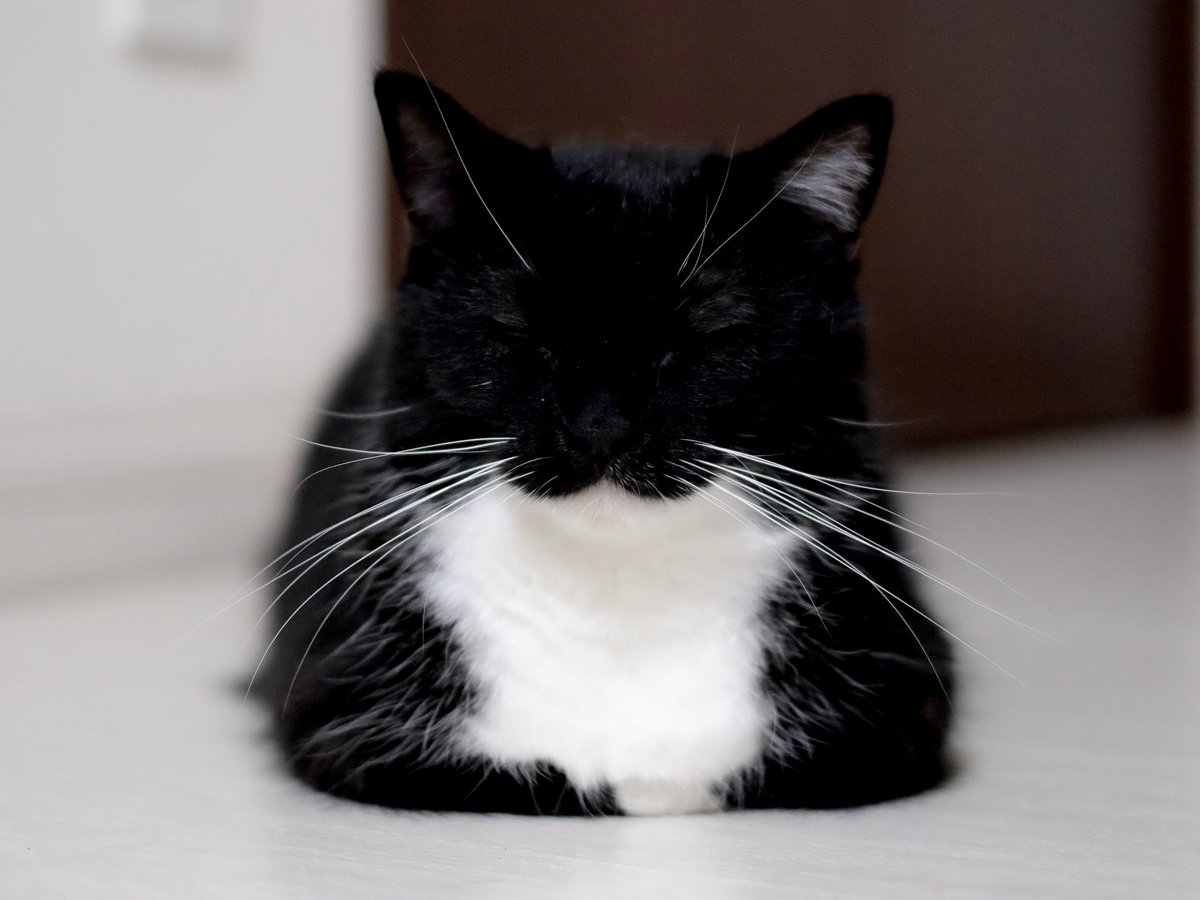 I'm Uni :3 tweet media