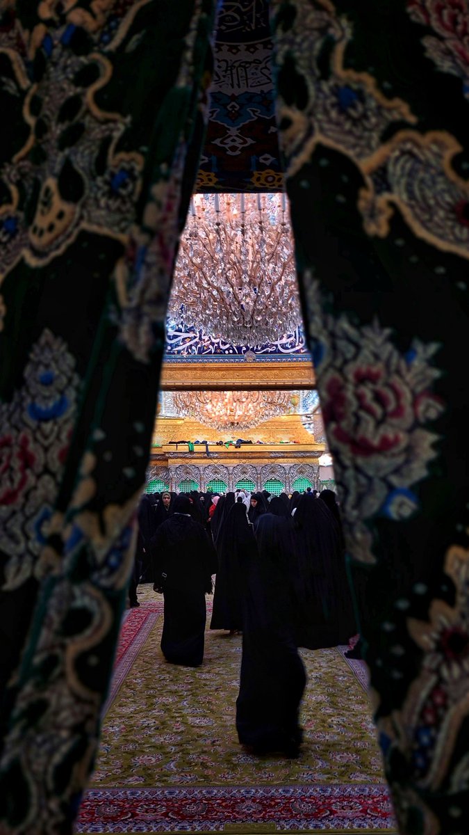 مصباح/MESBAH tweet media