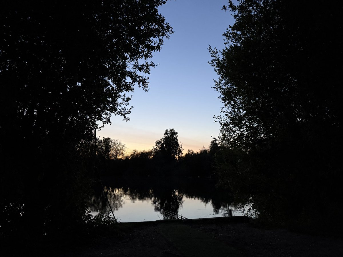 Here fishy fishy! 🎣🎣
🤞 for a busy night 🤞
#fishinglife #carp #carpfishing #fishing