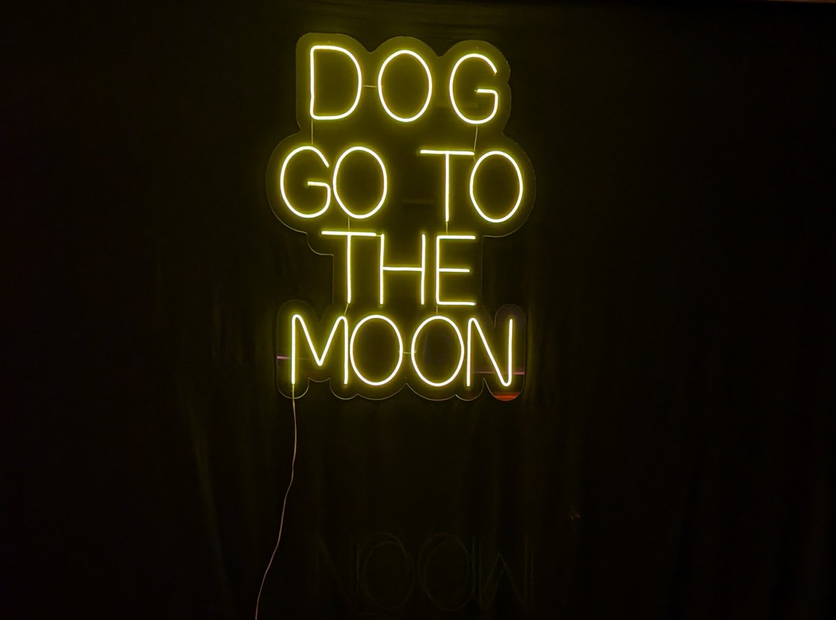 $DOG go to the moon.