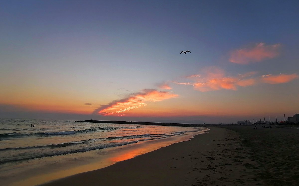 Veganharmony's tweet photo. Pretty sunset tonight on Costa Caparica #Lisb
#nature https://t.co/hug2aZ32ZV