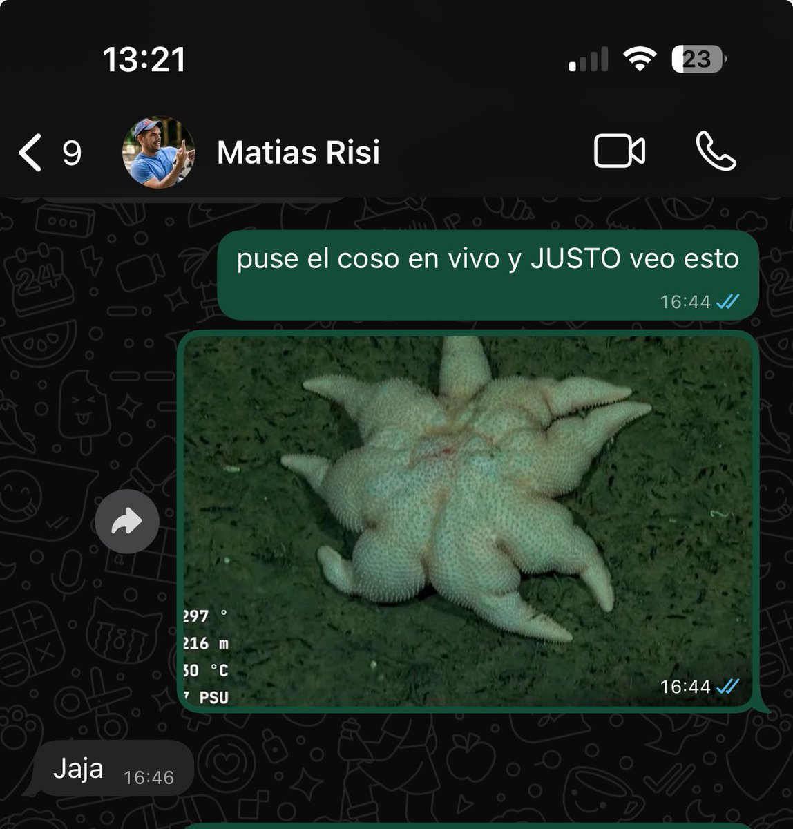 ingercher's tweet image. Quiero que sepan que estoy muy orgulloso de haber sido uno de los 50000 seres vivos del mundo que vieron por primera vez a la estrella culo hoy pasión de multitudes