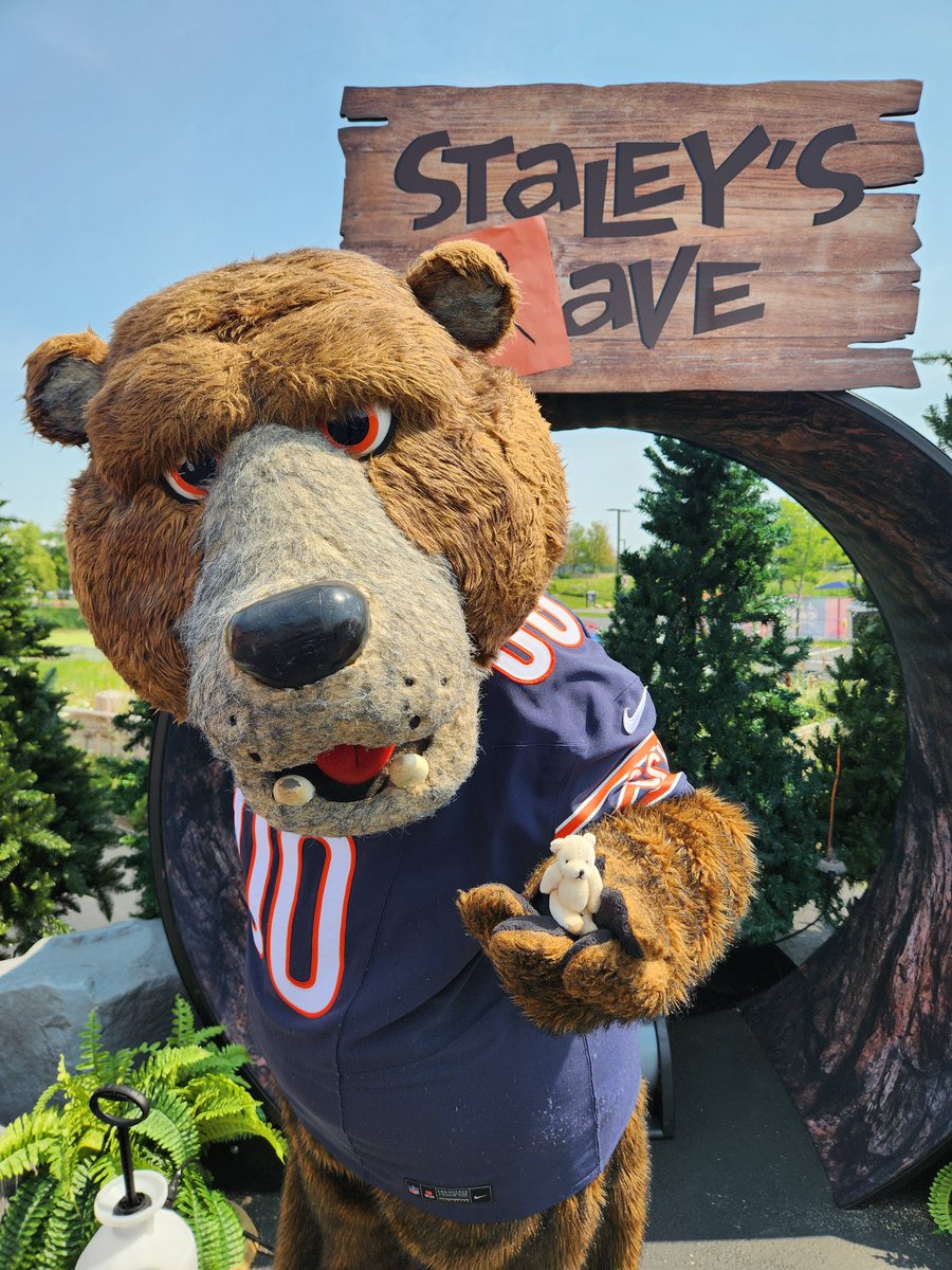 LittleBearFoundation tweet media