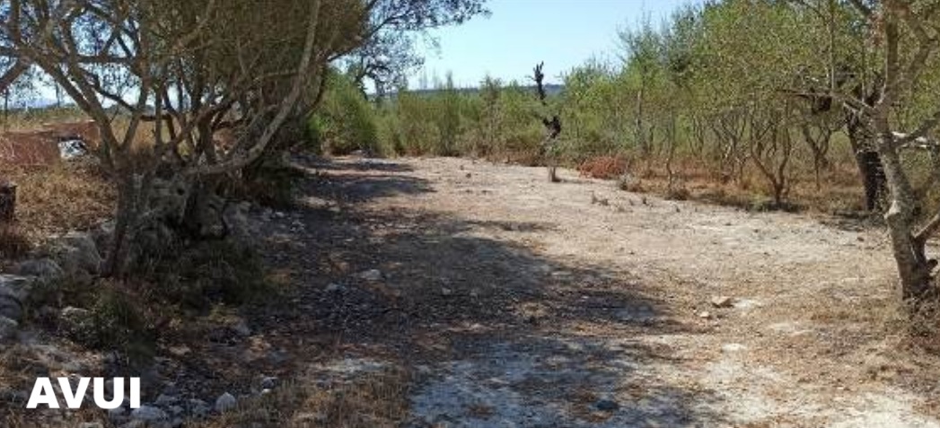 Agència de Defensa del Territori de Mallorca tweet media