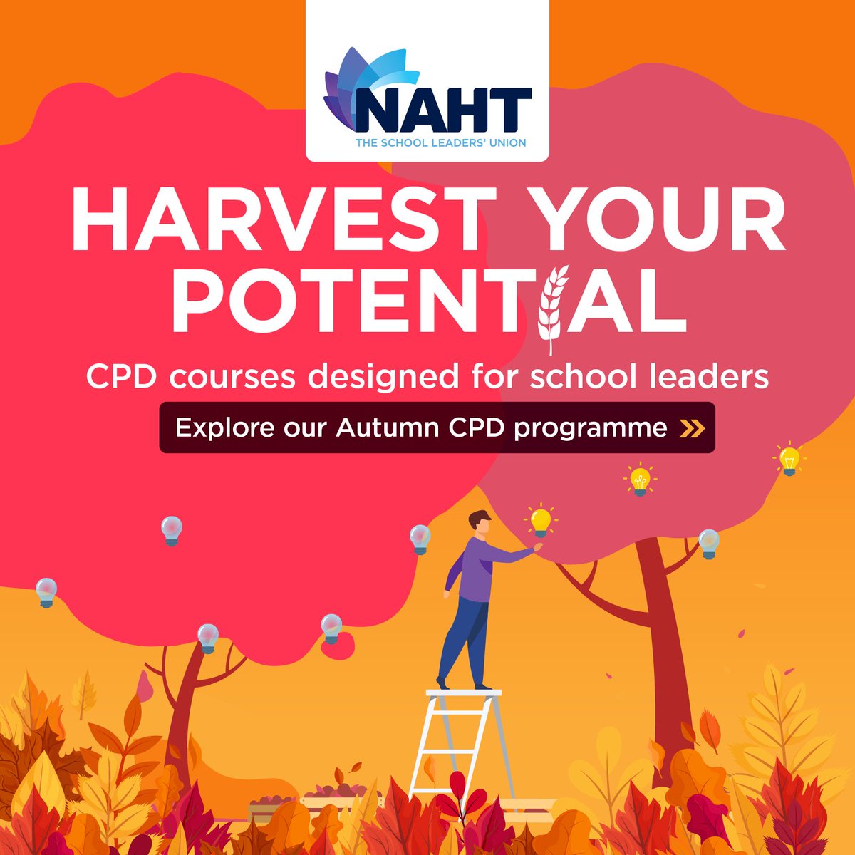 Have you planned ahead for your Autumn CPD?

Our courses include sessions on Pupil Premiums, emotionally-based school avoidance, SEND, protecting your well-being as a school leader, and how to successfuly tackle difficult conversations at work.

Read more here: