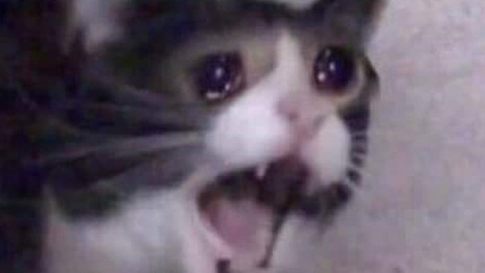 akygrass's tweet image. Screaming crying throwing up