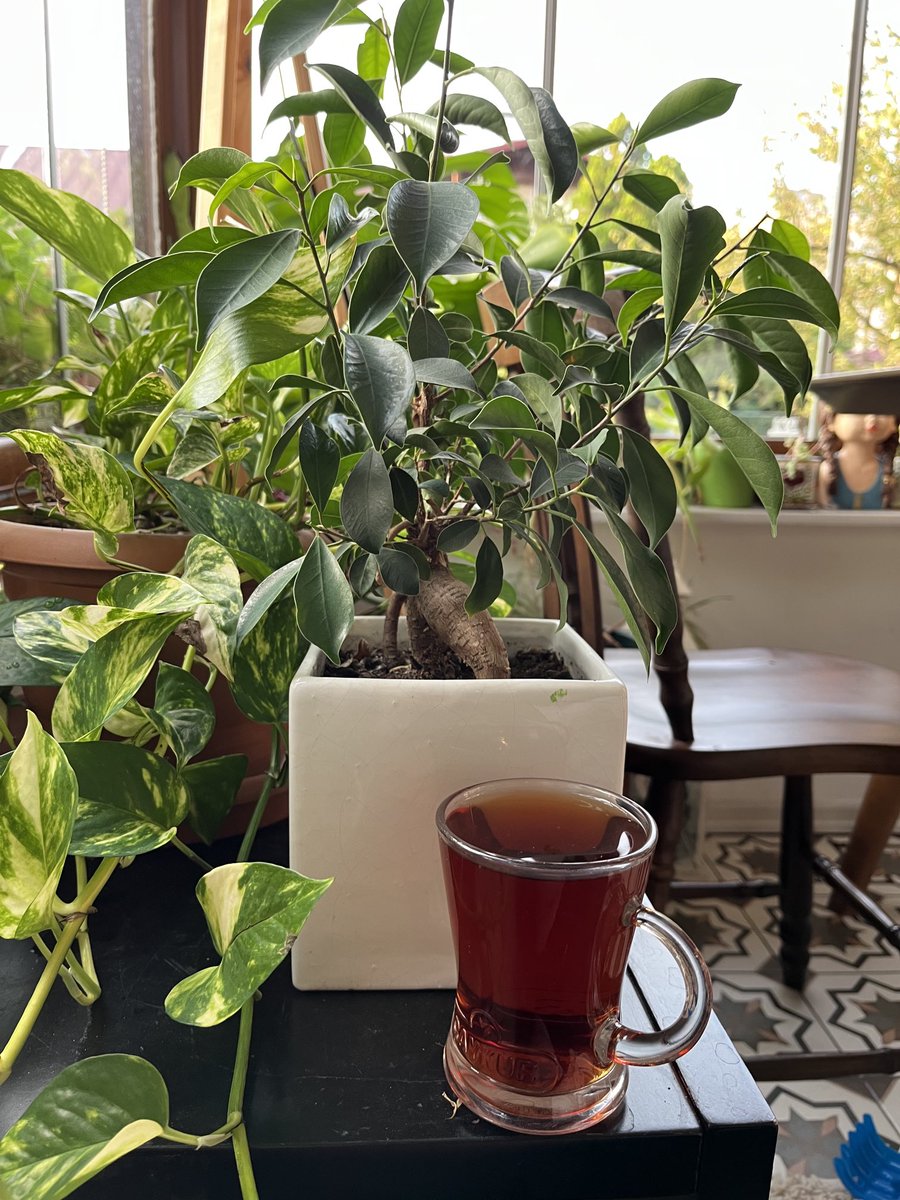 Şu çay ( fincan ) kafede bugün 85 lira olmuş . Biz nereye ?