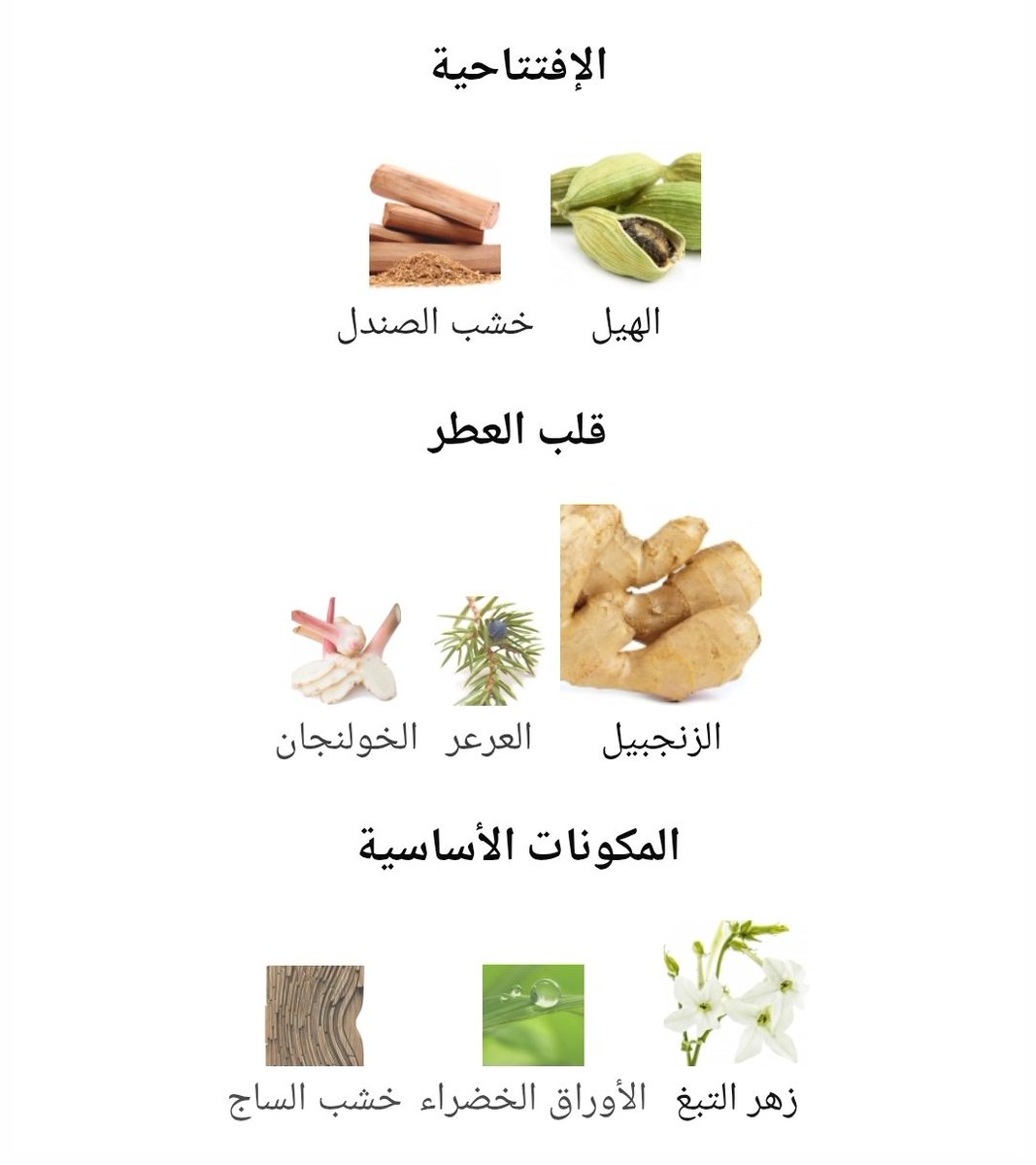 ◻️أسطورة اخرى للعطار البيرتو مورياس يتوقف انتاجها  من مواليد 2001 

~روح التواضع والنظافة على الطراز القديم..
حرارة الزنجبيل لم تتوقف على برودة التوابل والازهار،هيل وعرعر تحتويها عائلة خشبية بخشب الصندل الحلو وعشبية كلاسيكيه وللنعومه بودره نسائية.

BVLGARI 
BLV POUR HOMME