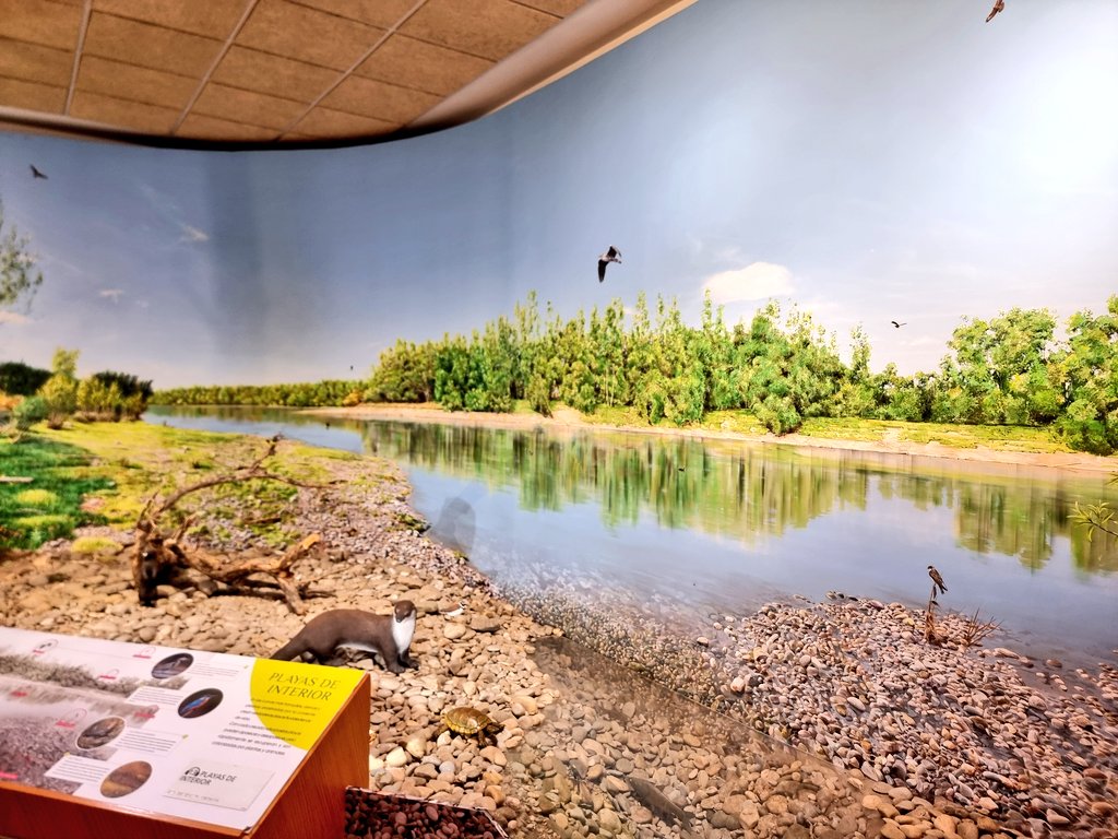 mapaymochila tweet media