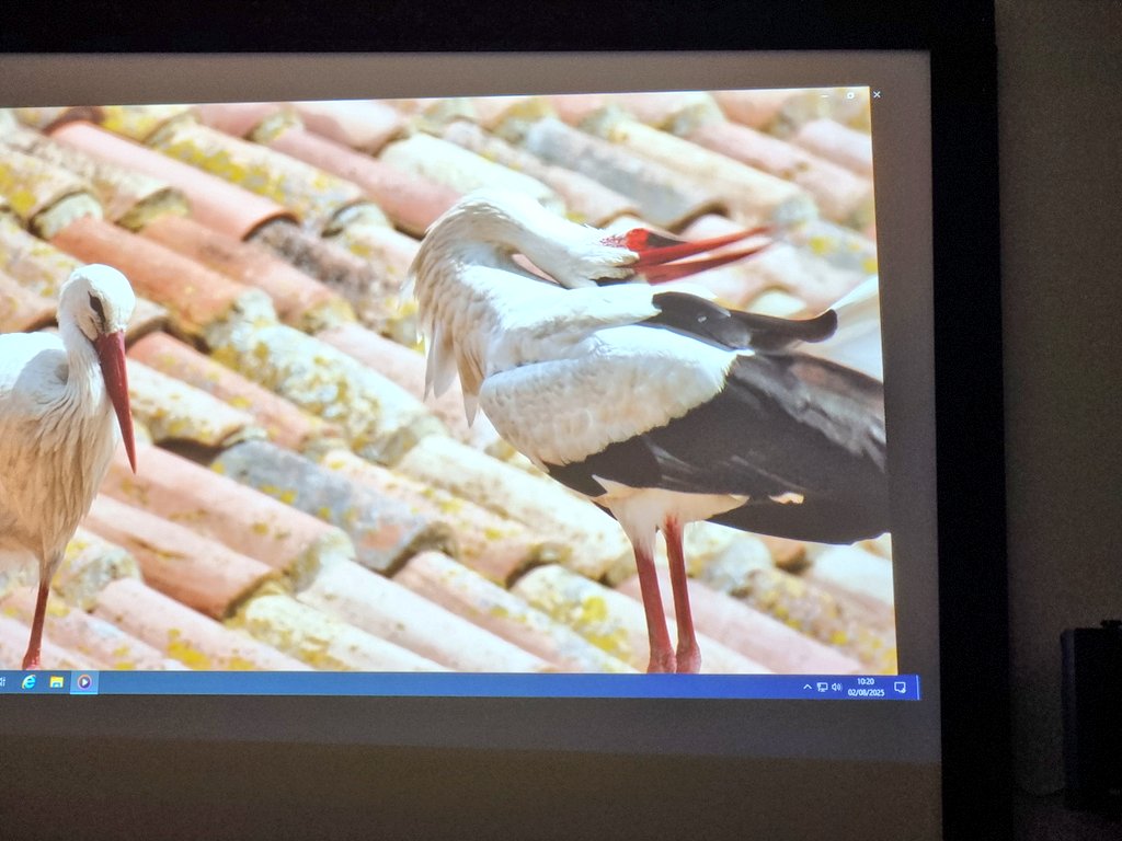 mapaymochila tweet media