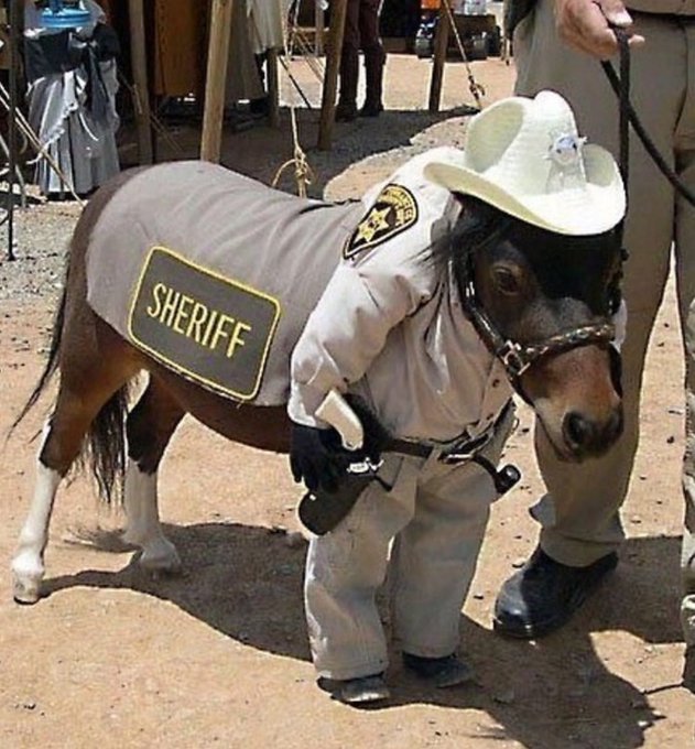 your going to jail pal