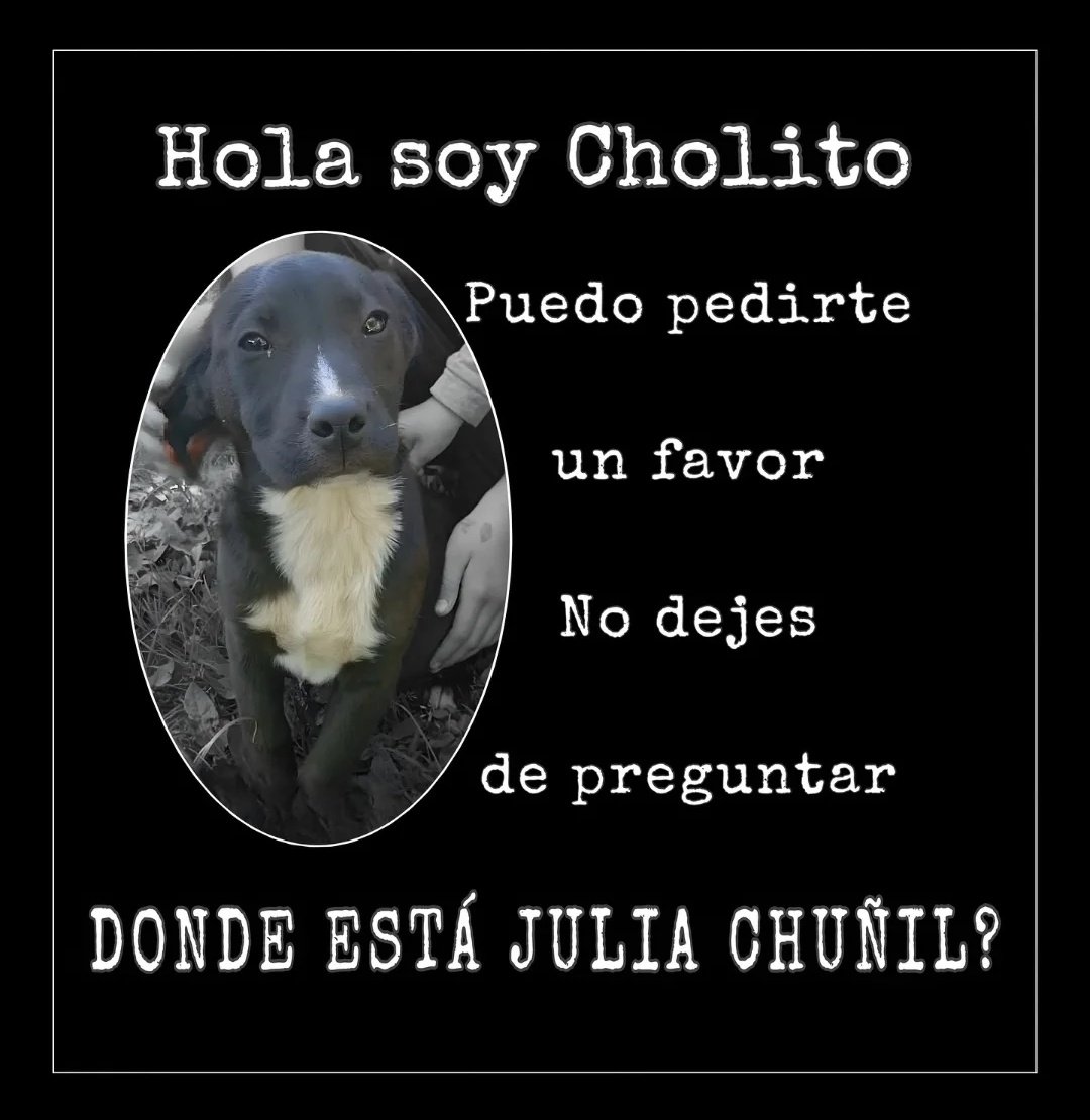 ¿Dónde está Julia Chuñil Catricura y su perro Cholito? 😾👇