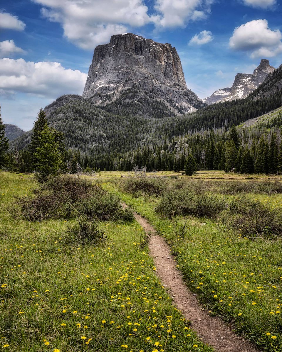 Travel Wyoming tweet media