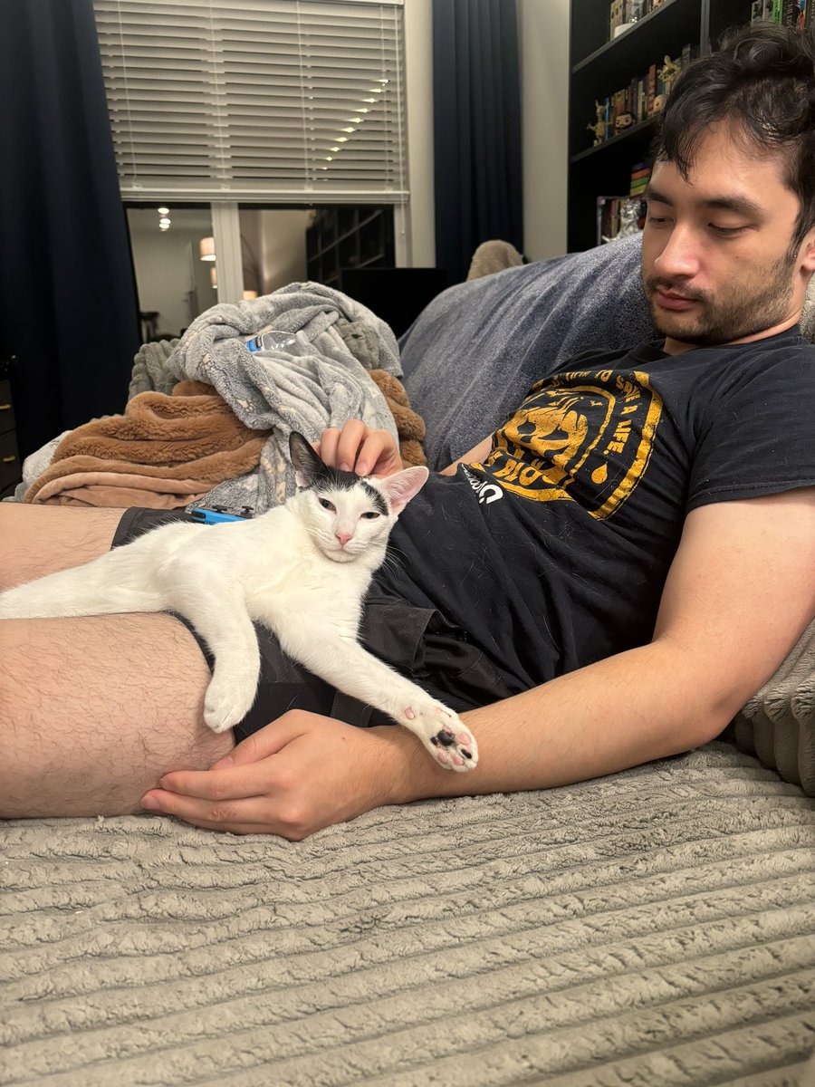 RaoHyrule's tweet photo. My boyfriend and his cat https://t.co/XN1WdAxDXN
